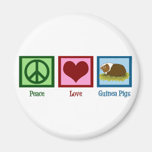 Aimant Cochon de Guinée mignon