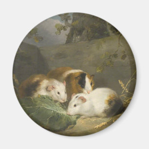 Aimant Cochons d'Inde (par George Morland)