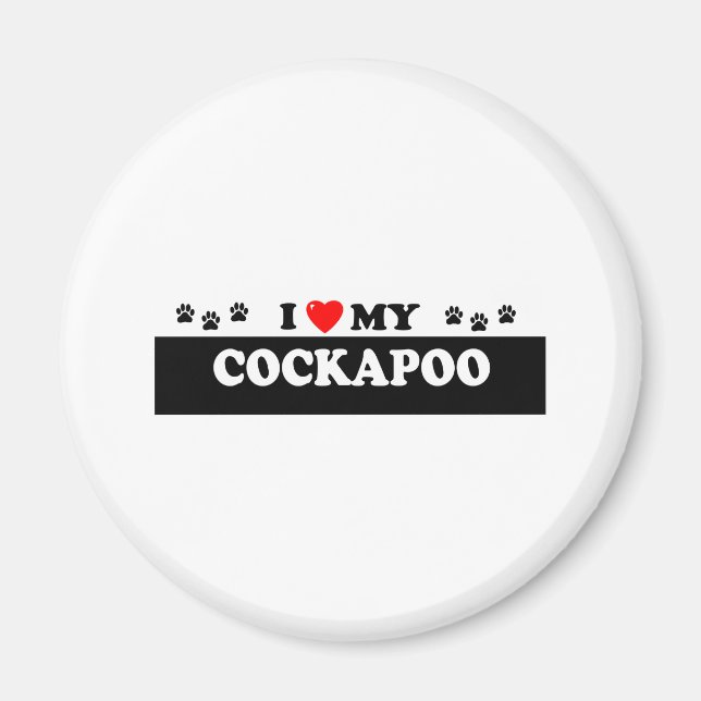 AIMANT COCKAPOO (Devant)