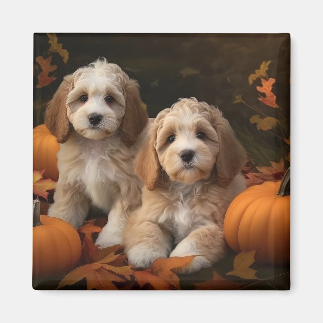Aimant Cockapoo chiot automne délice citrouille  (Devant)