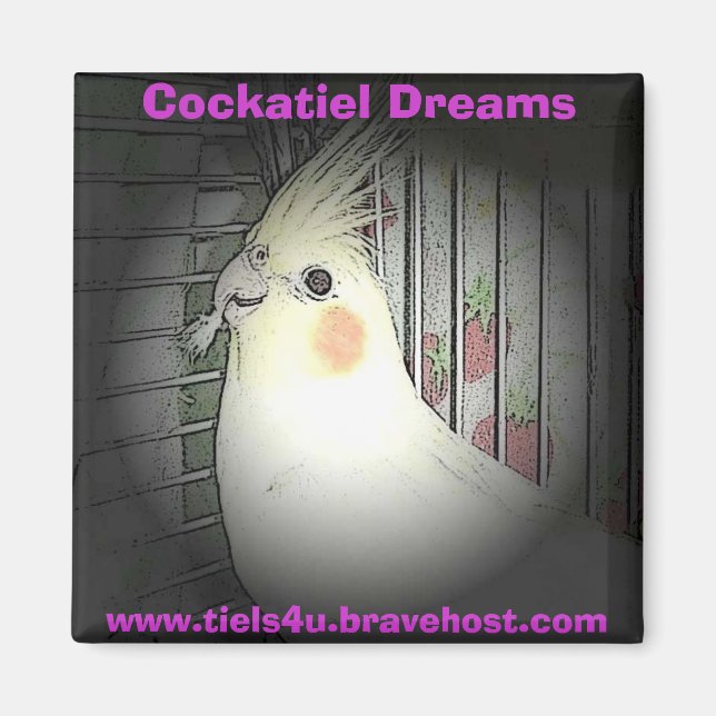 Aimant Cockatiel Dreams (Devant)