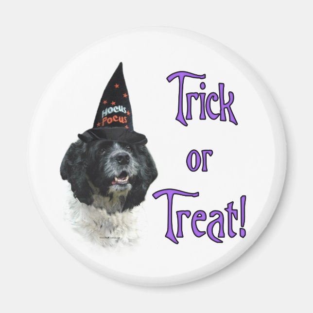 Aimant Cocker Spaniel (parti) Trick (Devant)