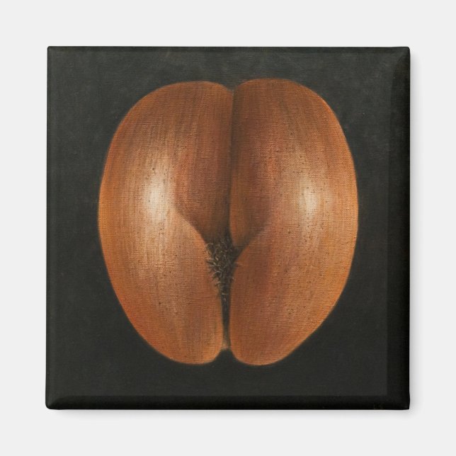 Aimant Coco de Mer 2010 (Devant)