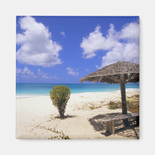 Aimant Coco Point Beach, Barbuda, Antigua