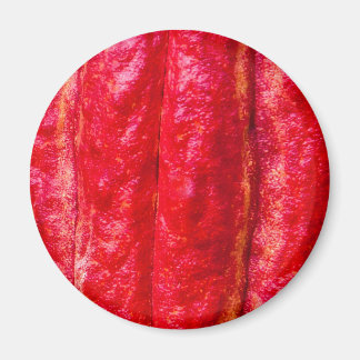 Aimant cocoa pod red