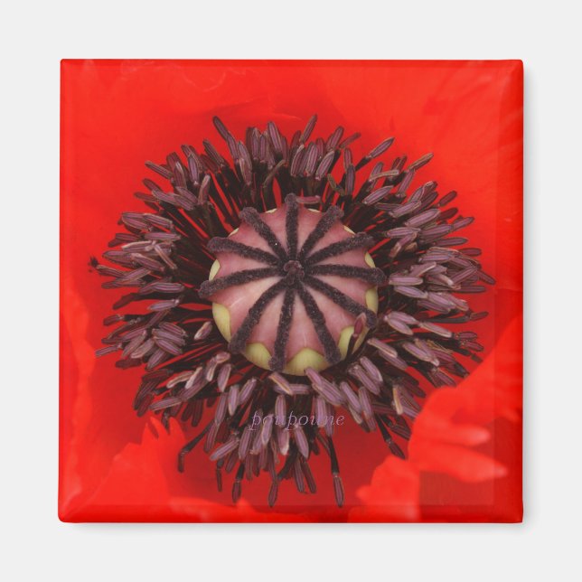 Aimant coeur de velours (Devant)