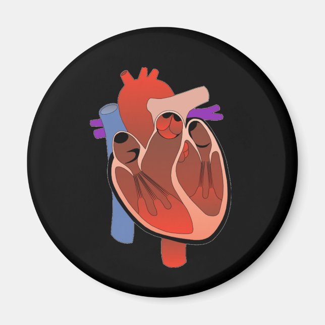 Aimant Coeur ouvert (Devant)