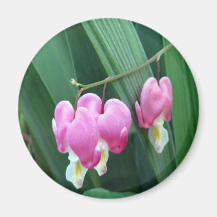 Aimant Coeurs saignants