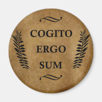 Cogito