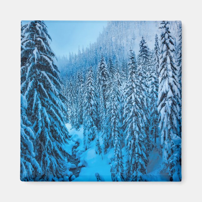 Aimant Col de Snoqualmie, État de Washington. (Devant)
