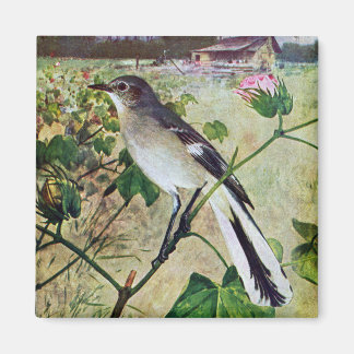 Aimant Colibri