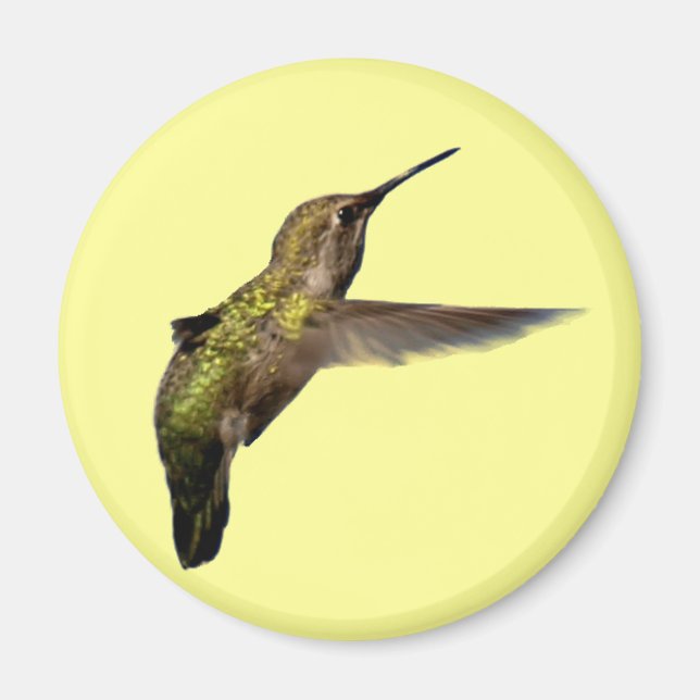 Aimant Colibri dans l'aimant rond en vol (Devant)