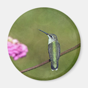 Aimant Colibri et Zinnia