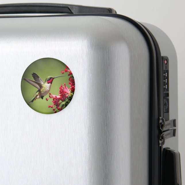Aimant Colibri Magnifique (In Situ (Bagages))