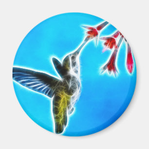 Aimant Colibri mangeant du nectar