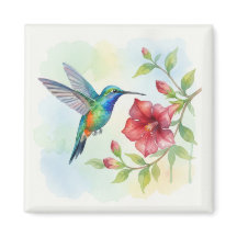 Colibri minuscule à l'aquarelle