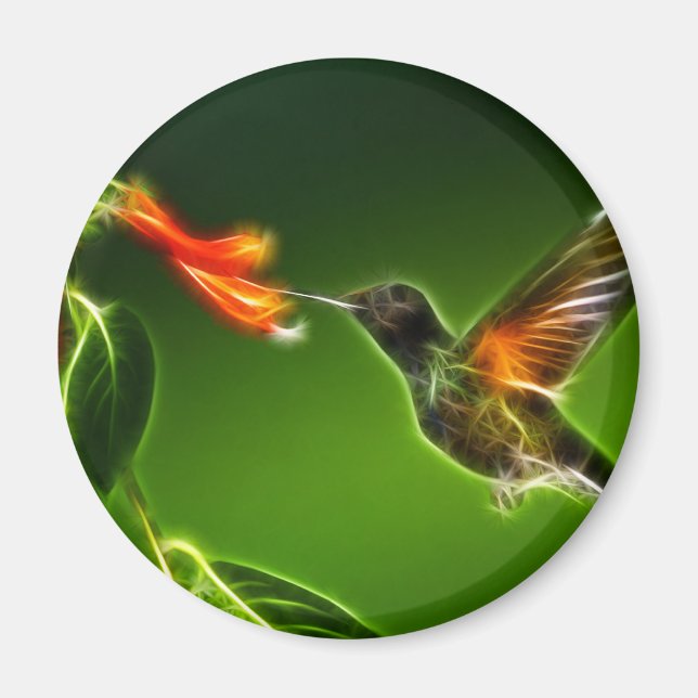 Aimant Colibri vert (Devant)