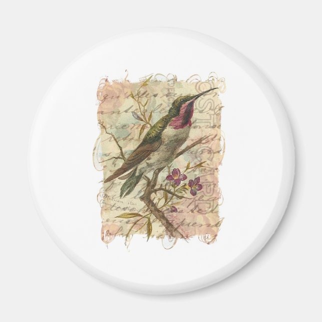 Aimant Colibri vintage (Devant)