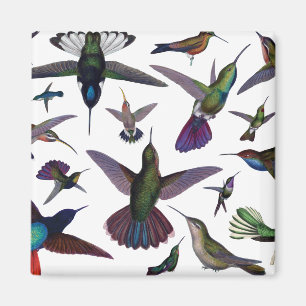 Aimant Colibri vintage