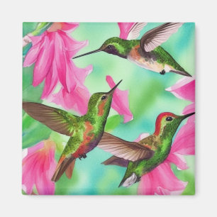 Aimant Colibris en fleurs aquarelle joie