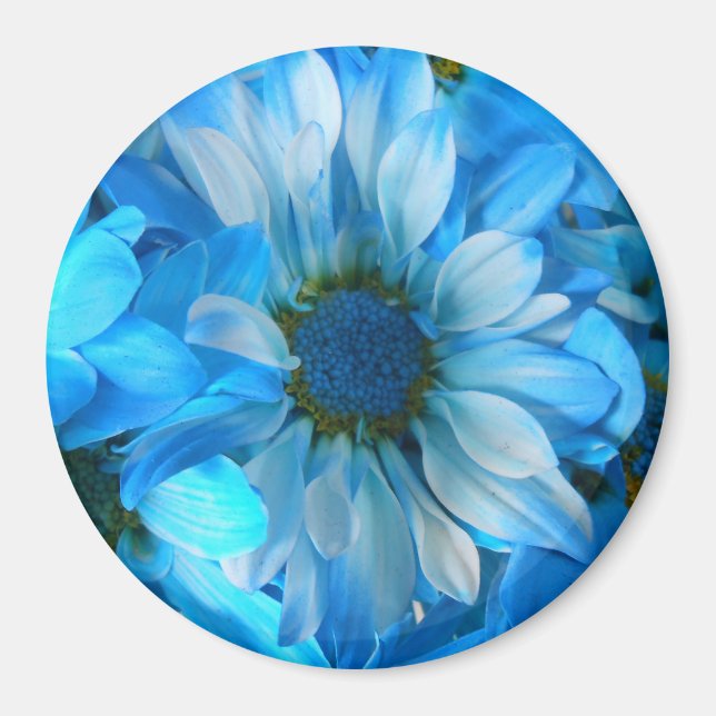 Aimant Collaert (Devant)