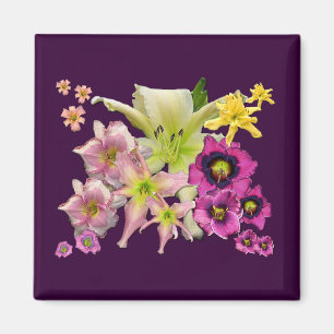 Aimant Collage de Daylily
