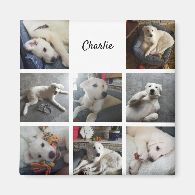 Aimant Collage de photos de chiot animal de compagnie mig (Devant)