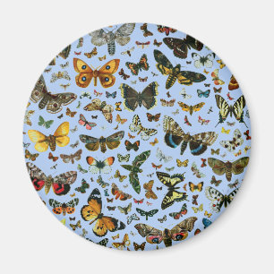 Aimant Collage des papillons de nuit et des papillons de
