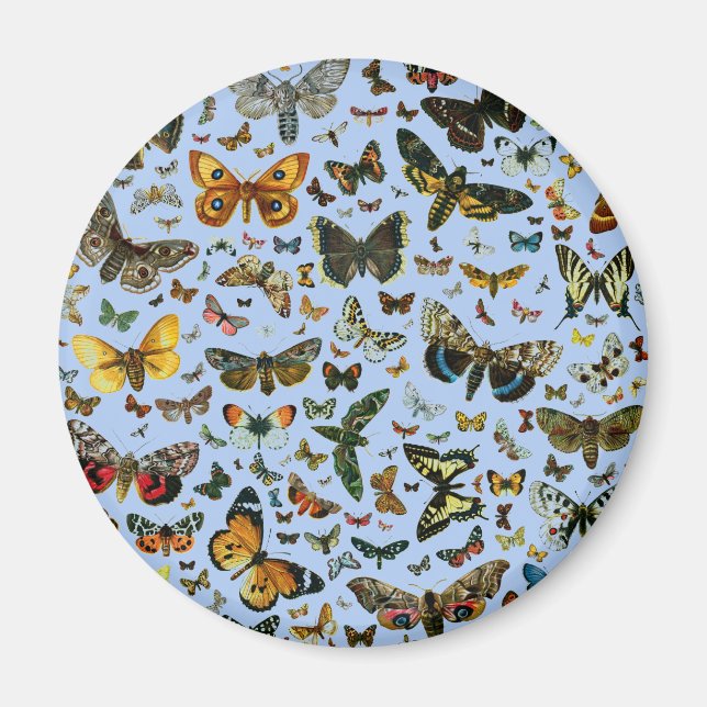 Aimant Collage des papillons de nuit et des papillons de  (Devant)