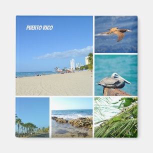 Aimant Collage naturel de San Juan, Porto Rico 