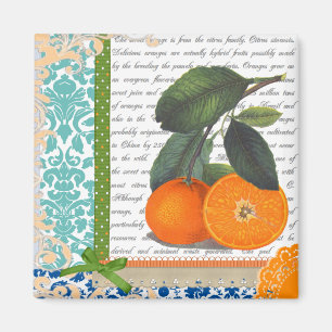 Aimant Collage vintage d'oranges