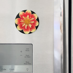 Aimant Collarette orange et jaune Dahlia Floral