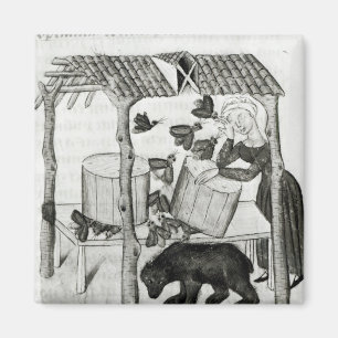 Aimant Collecte de miel