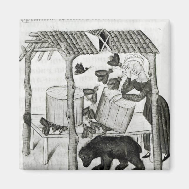 Aimant Collecte de miel (Devant)