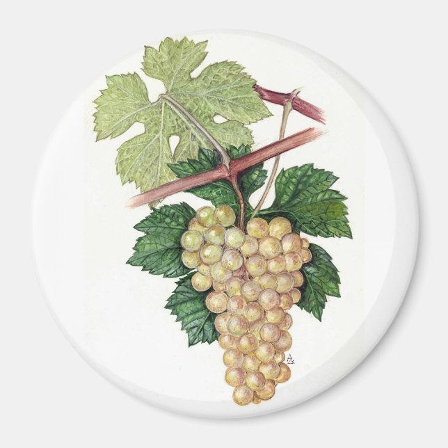 Aimant Collection Dionysus & Rhea (Devant)