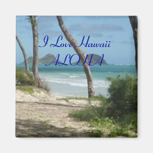 AIMANT COLLECTION HAWAII ALOHA