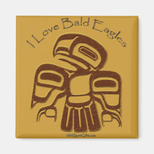 Aimant Collection MAGNETIC