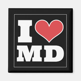 Aimant College Park (MD) Football Watch Party Fridge