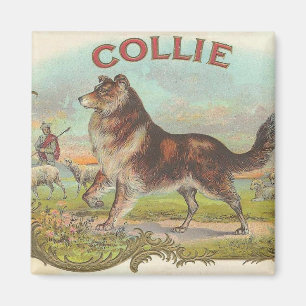 Aimant Colley vintage
