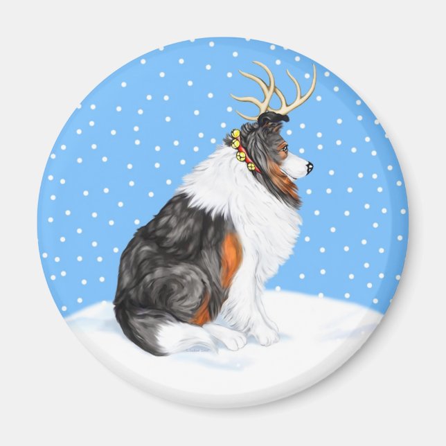 Aimant Collie Christmas Reindeer Tri (Devant)