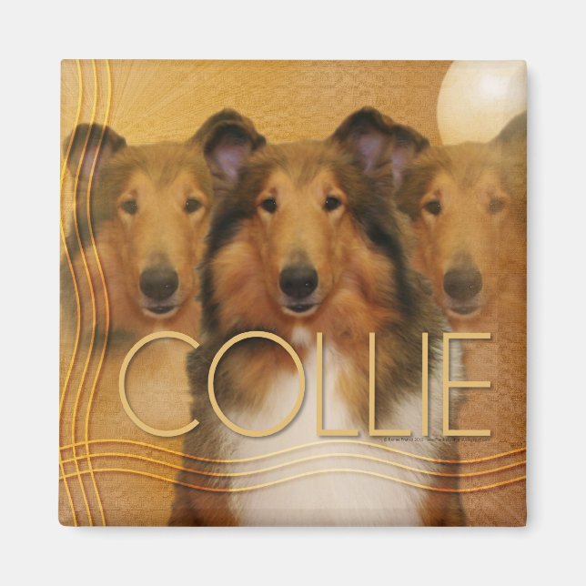 Aimant Collie Crescent Moon (Devant)