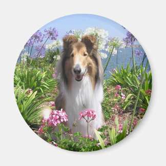 Aimant Collie dans l'aimant Fleurs