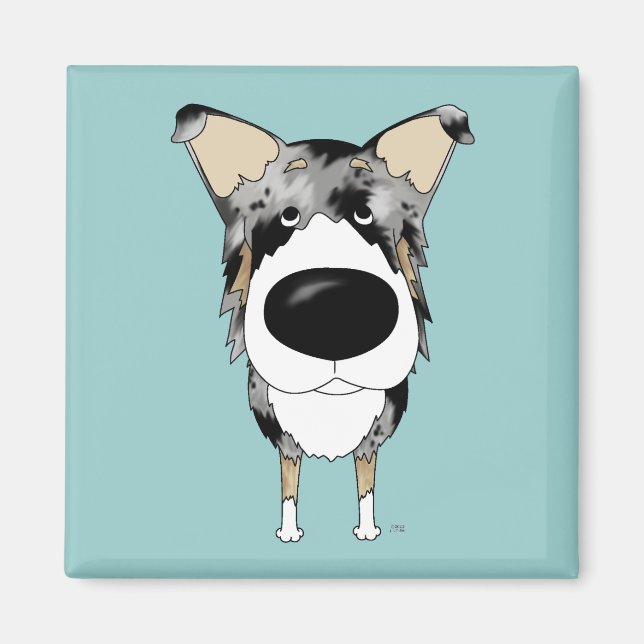 Aimant Collie lisse du gros nez (Devant)