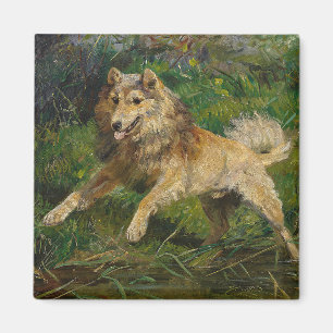 Aimant Collie prend une grenouille par Hermine Biedermann