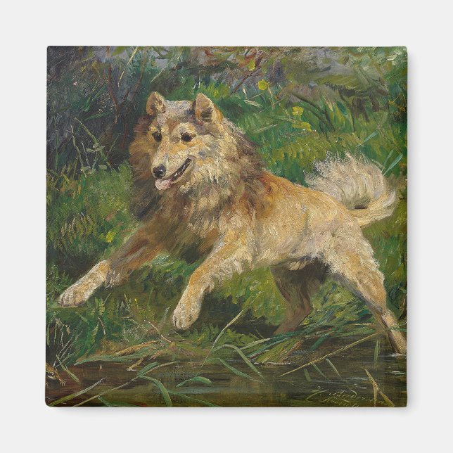 Aimant Collie prend une grenouille par Hermine Biedermann (Devant)