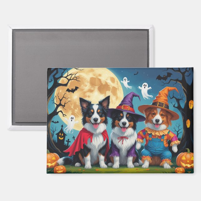 Aimant Collies frontalières Chiens Citrouille Halloween D (Recto/Verso)