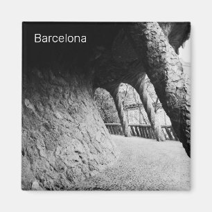 Aimant Colonnade du parc Guell