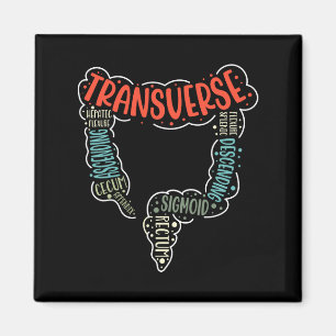 Aimant Colonoscopie Gi Funny Endoscopie Infirmière Colon