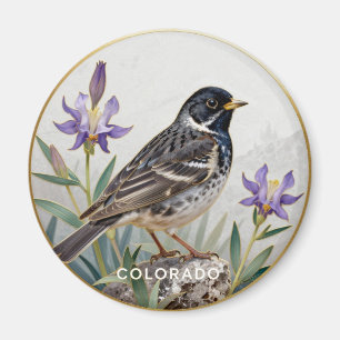Aimant Colorado Lark Bunting Oiseau de l'État Botanique