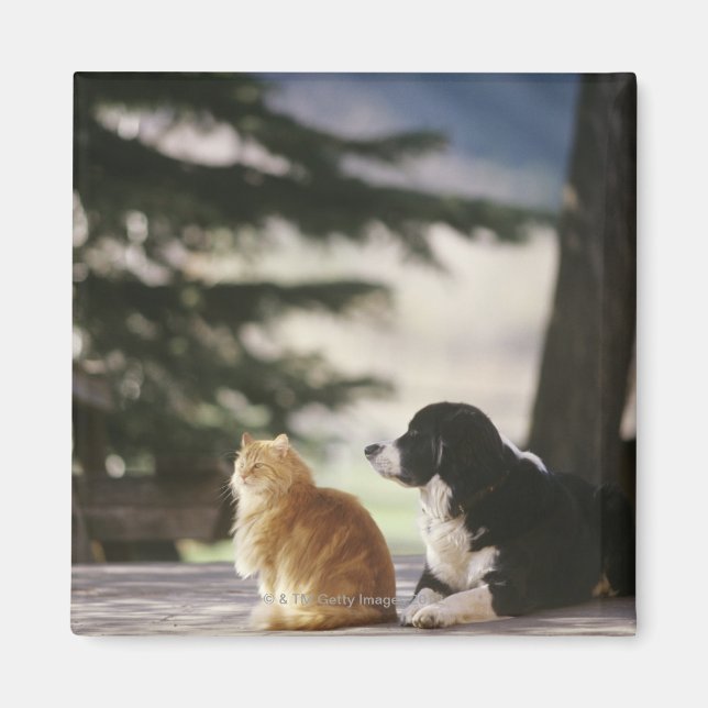 Aimant Colorado occidental, États-Unis (Devant)